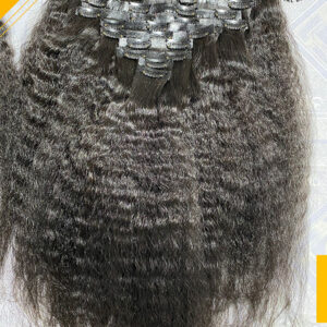 Burmese Kinky Straight Clip Ins- Natural Color